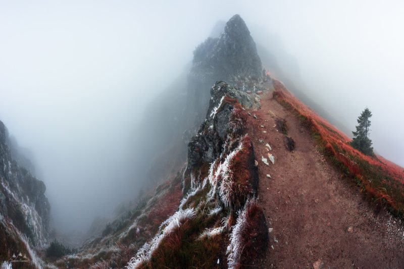 2048px-_MG_0327-Pano