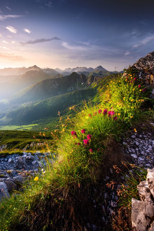 2048px-_MG_0406-Poprawione-Szum-Edytuj