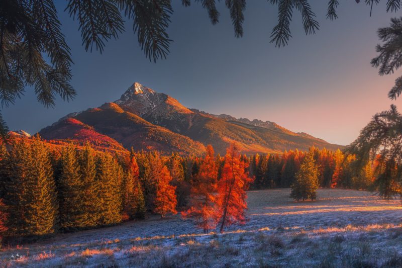 2048px-_MG_0913-Edytuj