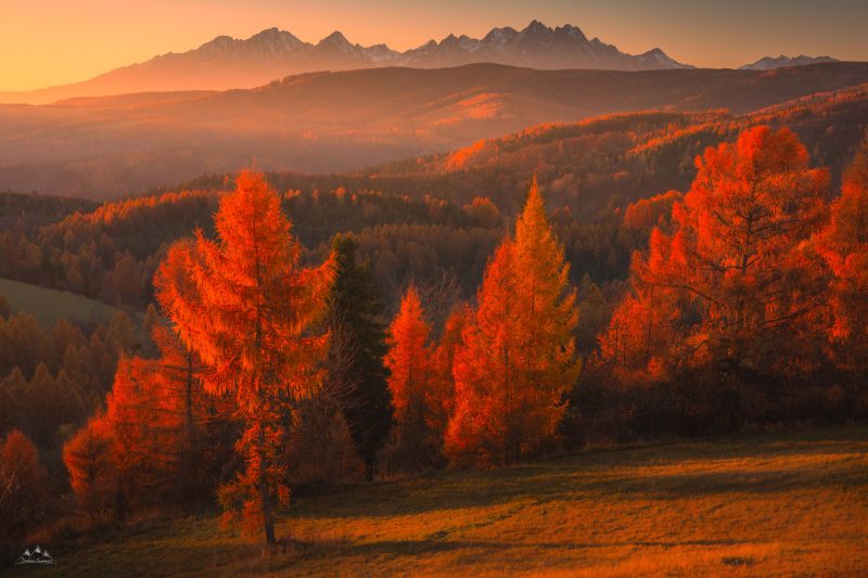 2048px-_MG_1039-Edytuj