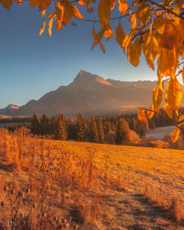 2048px-_MG_1481-Edytuj