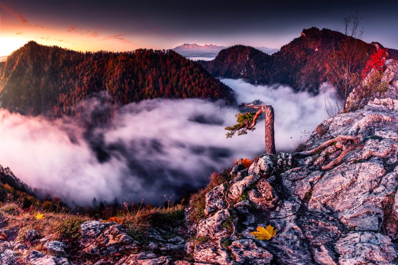 2048px-_MG_1890-Poprawione-Szum-Pano-Edytuj