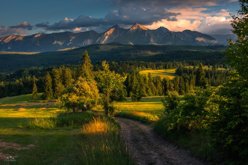 2048px-_MG_3882 kopia