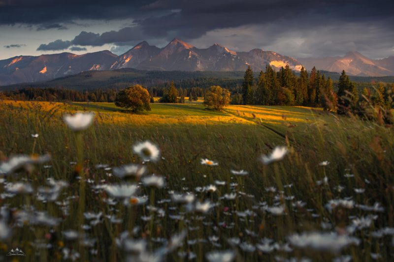 2048px-_MG_3936-Edytuj