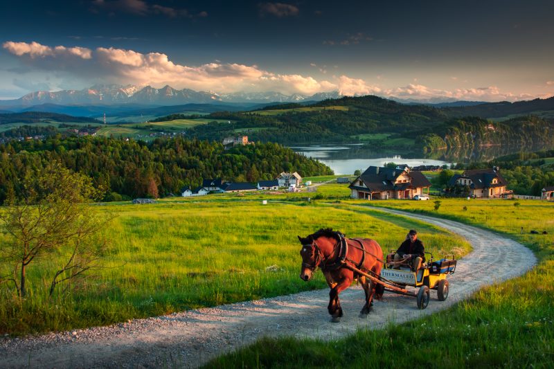 2048px-_MG_9613-Poprawione-Szum-Edytuj