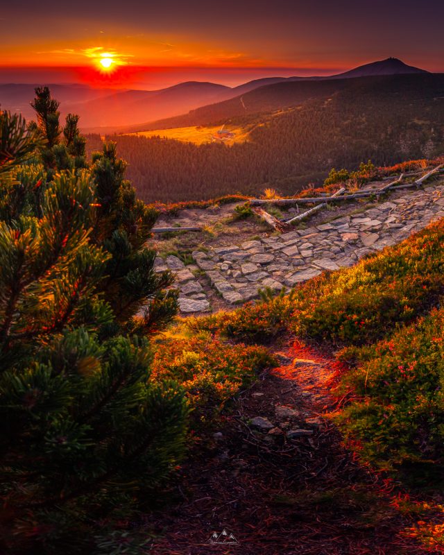 4x5-_MG_0084-Pano-Edytuj-Edytuj