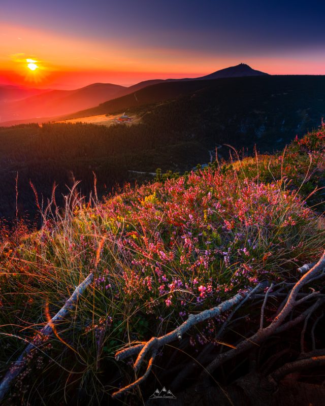 4x5-_MG_0086-Poprawione-Szum-Edytuj