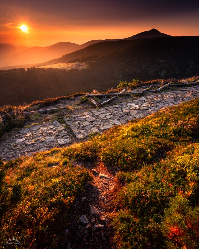 4x5-_MG_0098-Poprawione-Szum-Edytuj