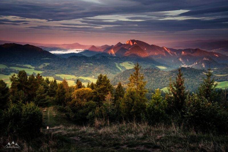 tn_LD-2080_-IMG_9611